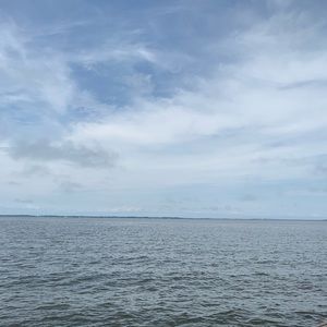 Meet your Posher, Donald